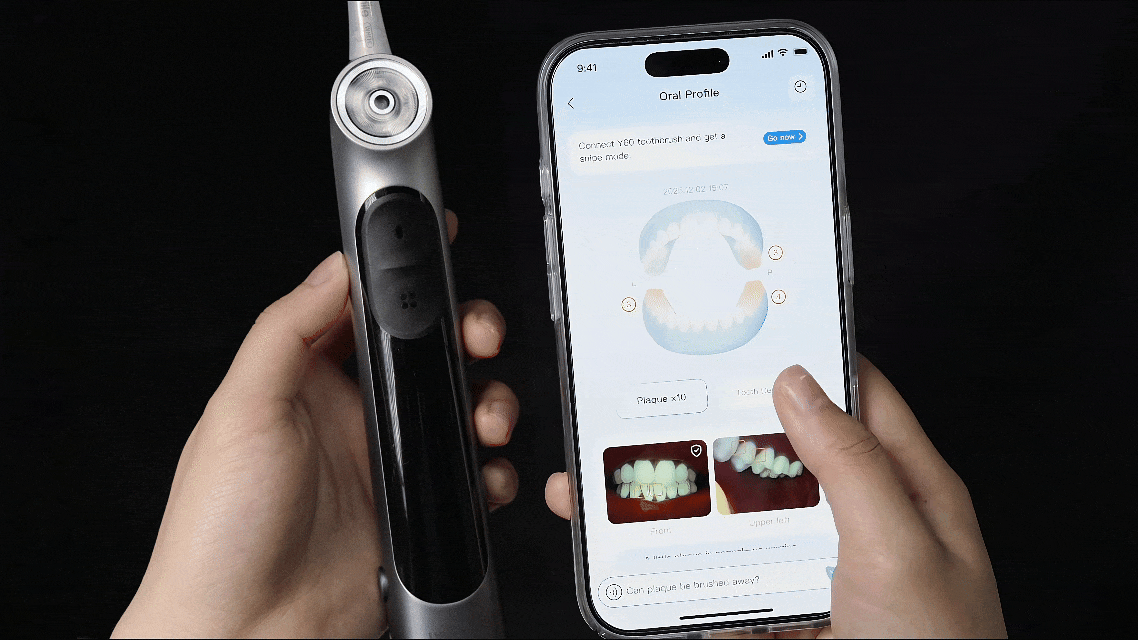 In-depth insights on the APP